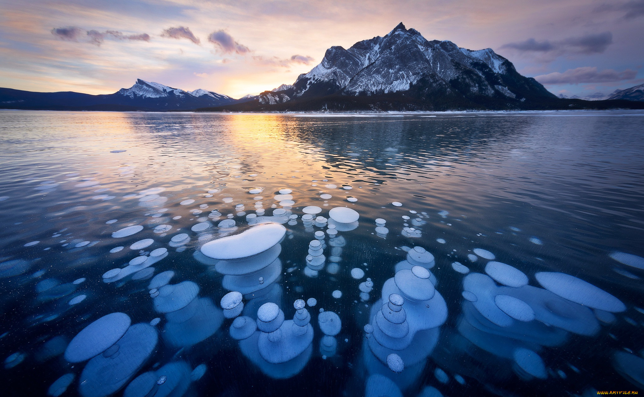 , , , canada